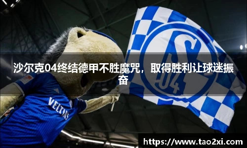 3377体育官网