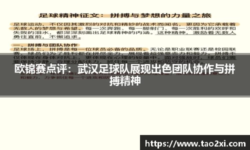 3377体育官网