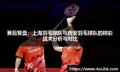 3377体育官网