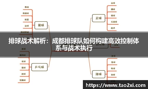 3377体育平台