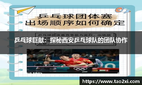 3377体育