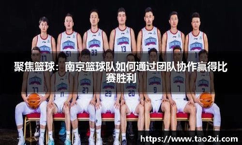 3377体育官网