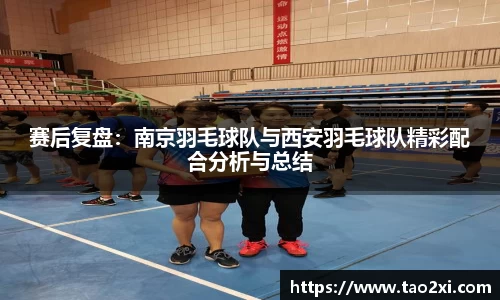 3377体育官网