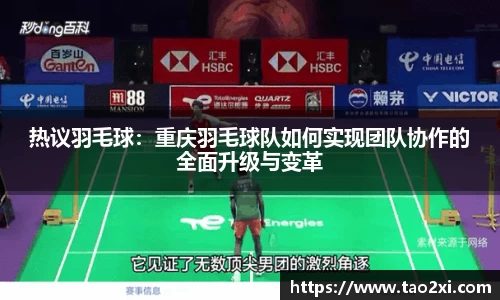 3377体育官网