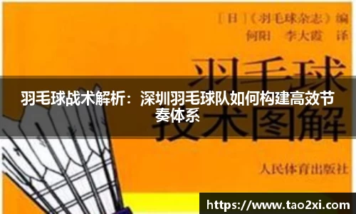 羽毛球战术解析：深圳羽毛球队如何构建高效节奏体系