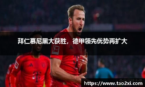 3377体育官网