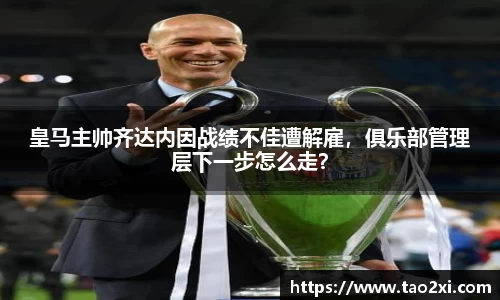 3377体育官网