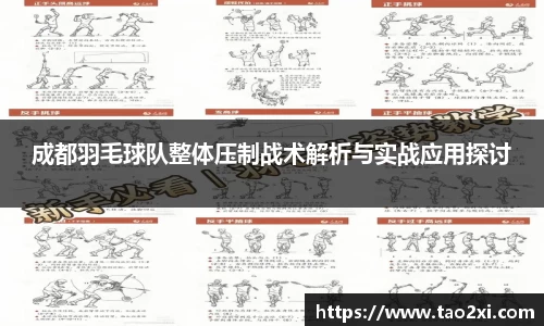 成都羽毛球队整体压制战术解析与实战应用探讨