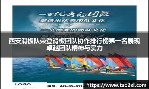 3377体育官网