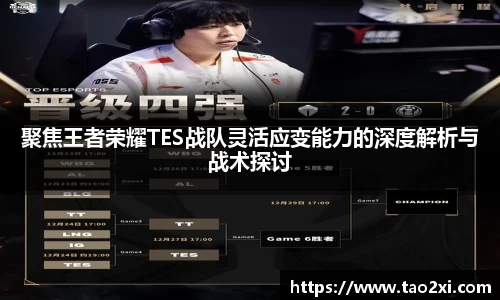 3377体育
