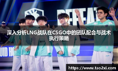 3377体育官网