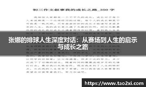 3377体育