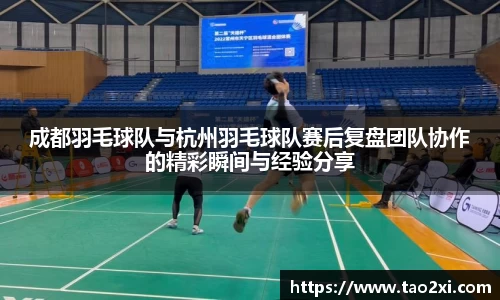 3377体育官网