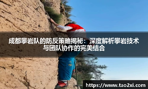 3377体育app
