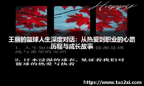 3377体育平台