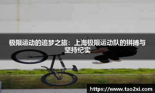 3377体育