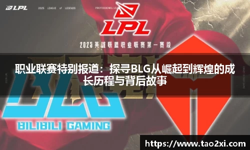 3377体育官网