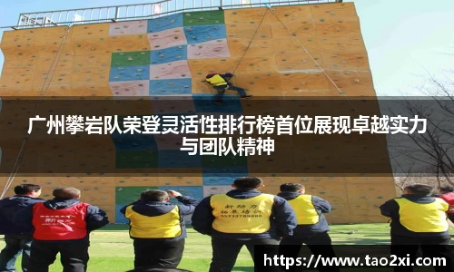 3377体育官网