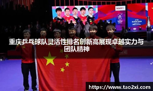 3377体育官网
