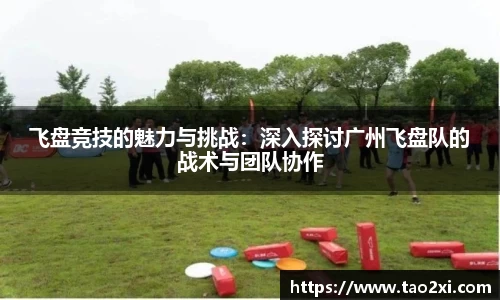 3377体育官网