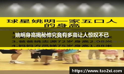 3377体育官网