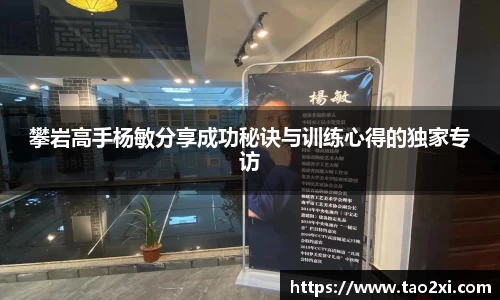 3377体育app