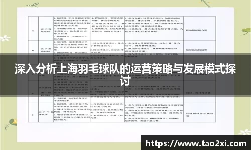 深入分析上海羽毛球队的运营策略与发展模式探讨