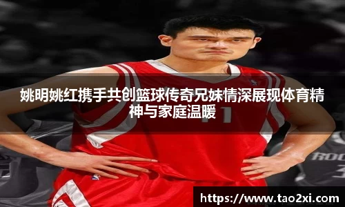 3377体育官网