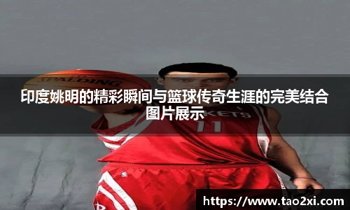 印度姚明的精彩瞬间与篮球传奇生涯的完美结合图片展示