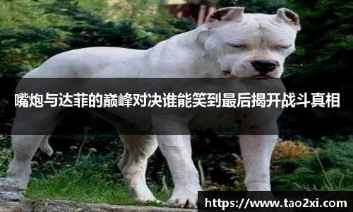 3377体育官网