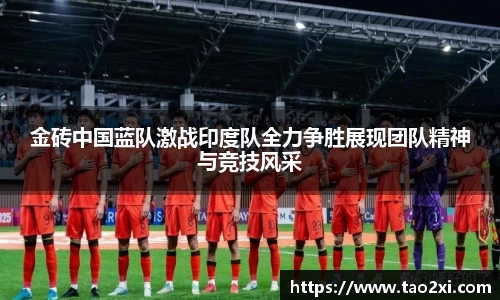 3377体育官网