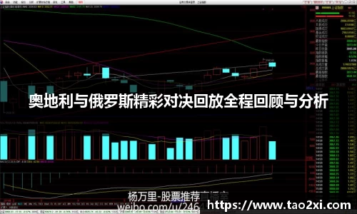 3377体育