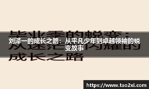 3377体育app