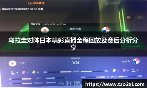 3377体育app