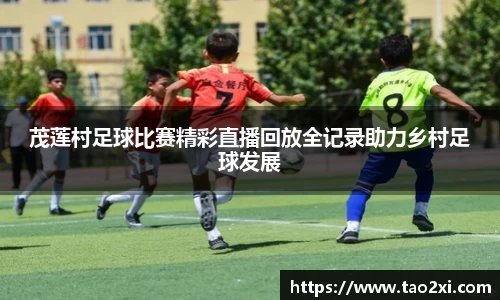 6T体育