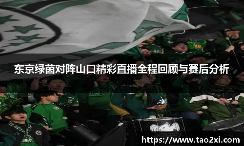 6T官方网站
