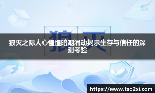 6T官方网站