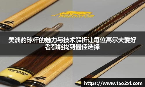 6T官方网站